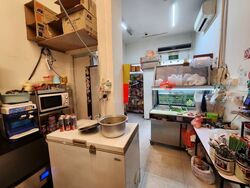 Treasures @ G19 (D14), Shop House #452391491
